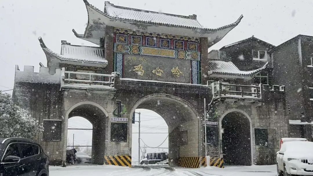 哇！重庆下雪了！最低气温-5℃，速来围观→